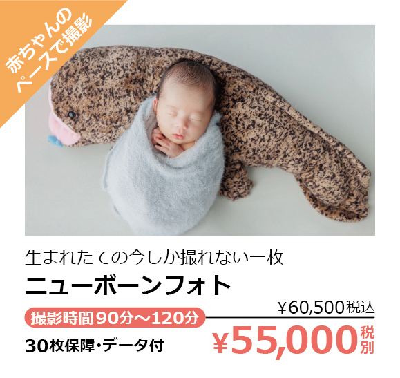 フィーノ記念日のニューボーンフォト